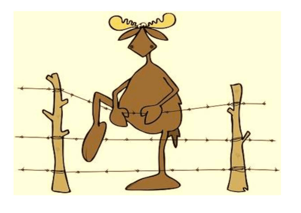 Organizational Value — Economic, Social, Environmental – Balancing Choices on a Barbed Wire&nbsp;Fence